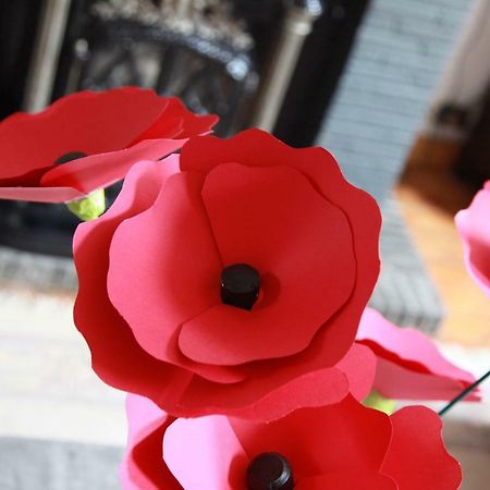 Temps de Pose Ypres Exterior foto